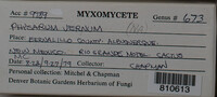 Image Associated With the Occurence